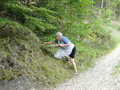 Sommercamp 2011