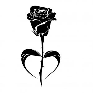 rose
