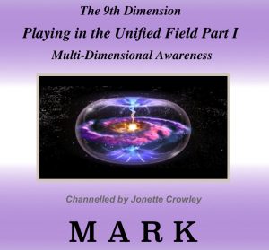 playing-in-the-unified-field-1-cdcover